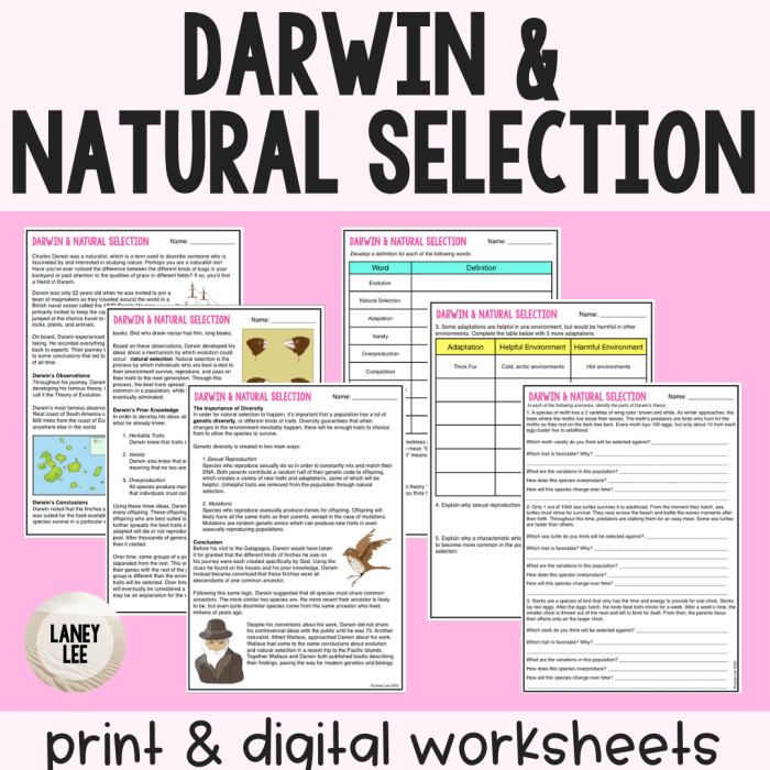 Study guide evolution and natural selection answer key