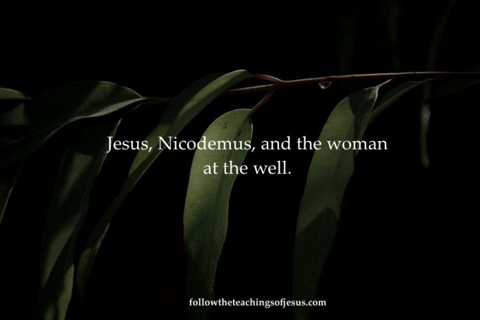 Similarities between nicodemus and the woman at the well