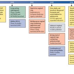 Development across the life span 10th edition